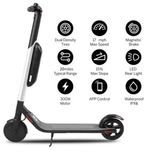 Segway Es4 Professional