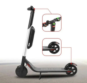 Segway Es4 Professional